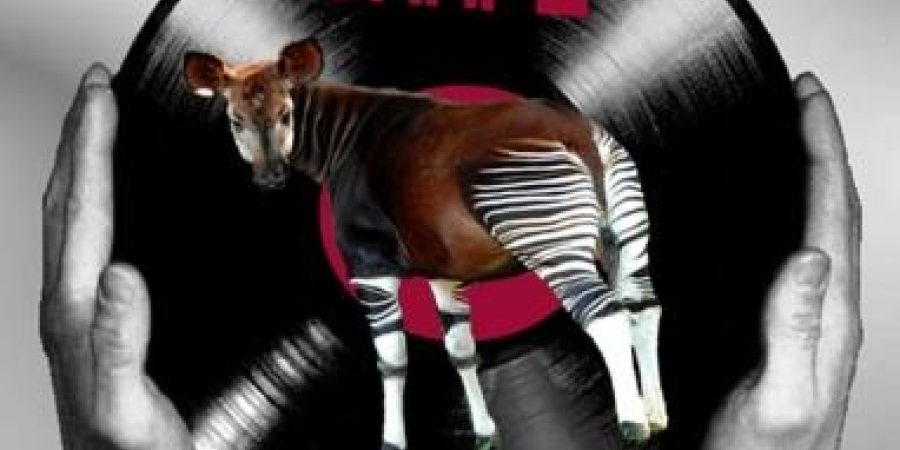 59d925d75340d64d31d5ce71bf6ceaf4 XL