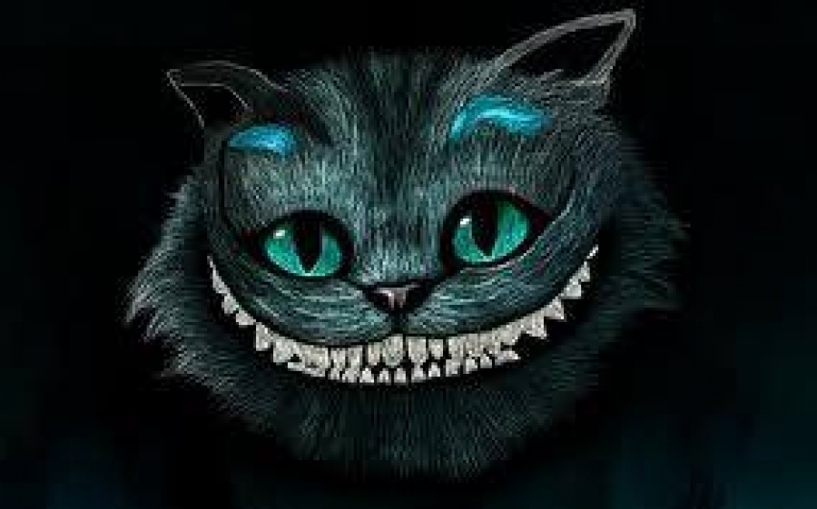La Sonrisa del Gato - Carmen Rubio