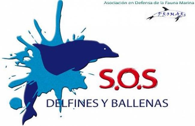 La mirada del delfín viajero - PROMAR