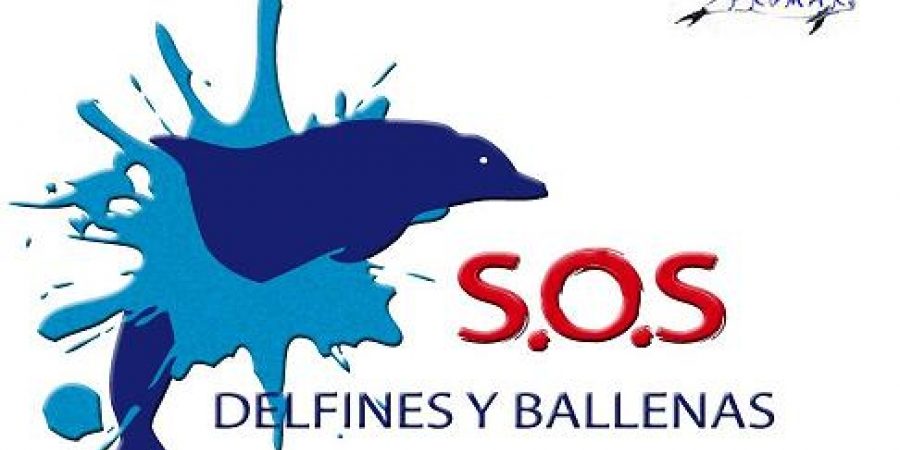 La mirada del delfín viajero - PROMAR