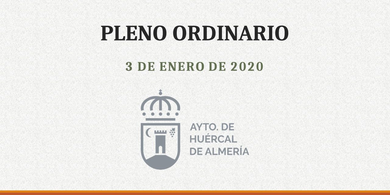 Pleno ordinario 3 de enero 2020