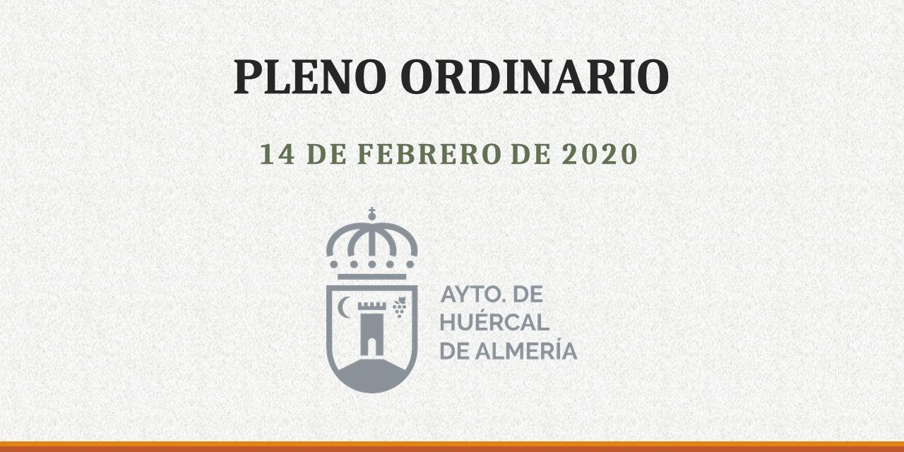 Pleno Ordinario 14 de Febrero 2020
