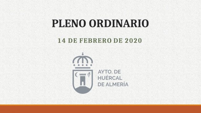 Pleno Ordinario 14 de Febrero 2020