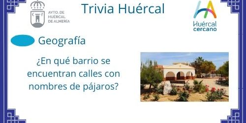 94880516 2908979162520573 1084010236106244096 n