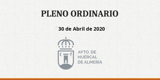 Pleno ordinario 2020-04-30