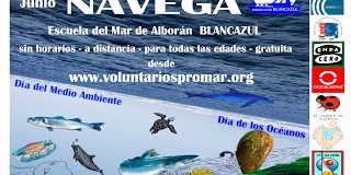 WhatsApp Image 2020-06-01 at 09.51.08