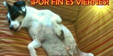 Por fin es viernes - José Antonio Laboreo