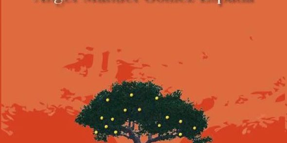 106128329 10158623825685480 7385573648431102795 o