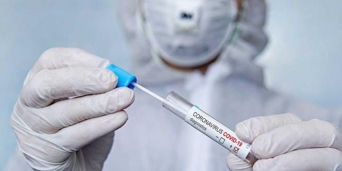 file-20200610-34692-1bplgjf-1