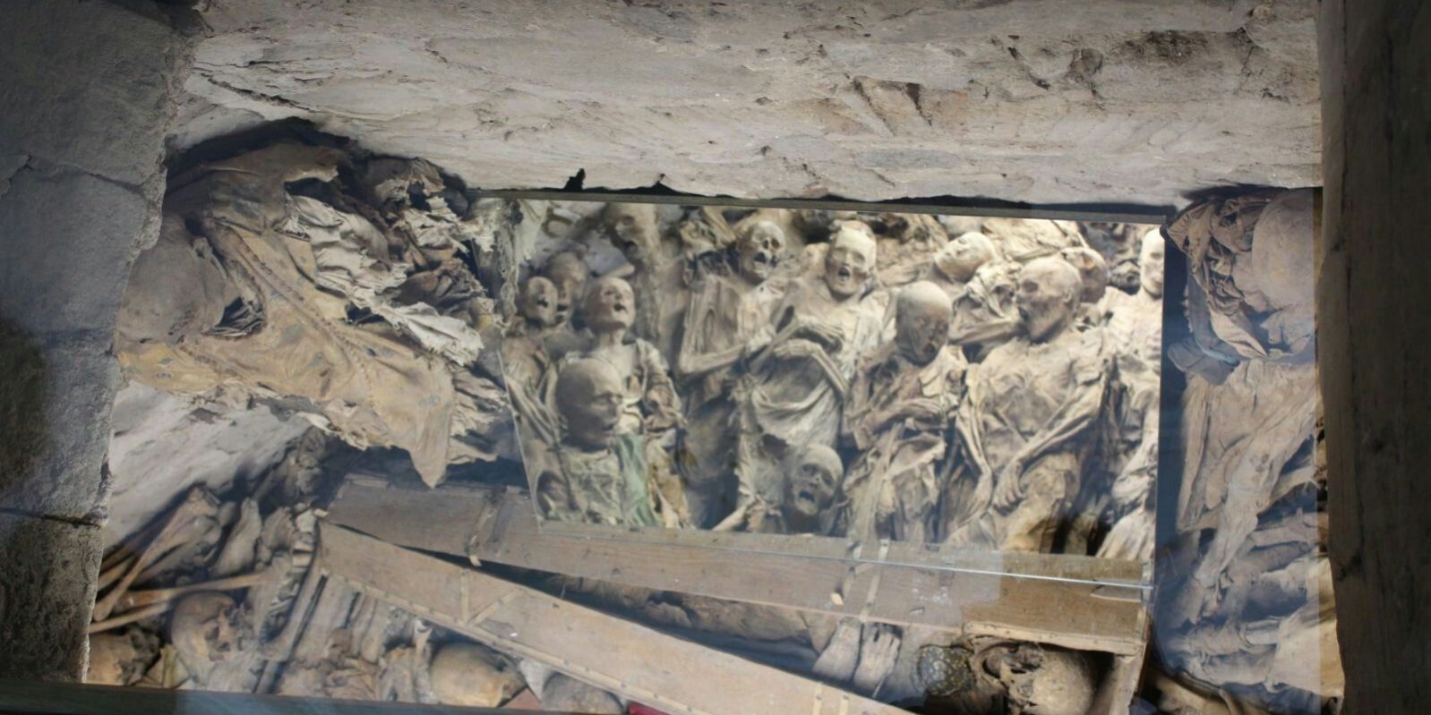 d3e091d306a4afd506e5fd7bdc339814