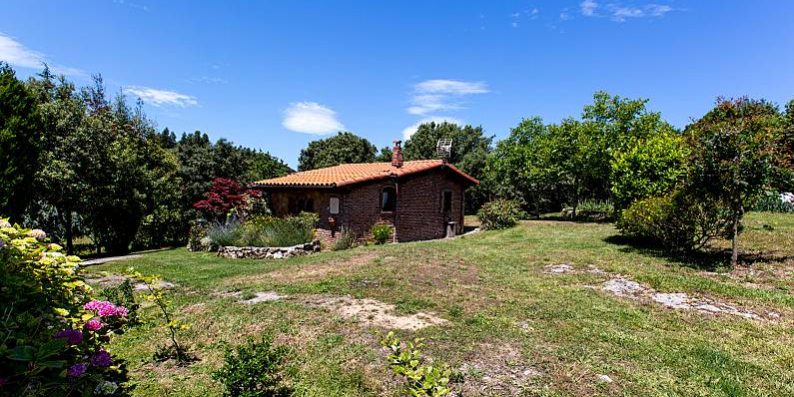 h.8113937.795.500.0.ffffff.3c7707f0