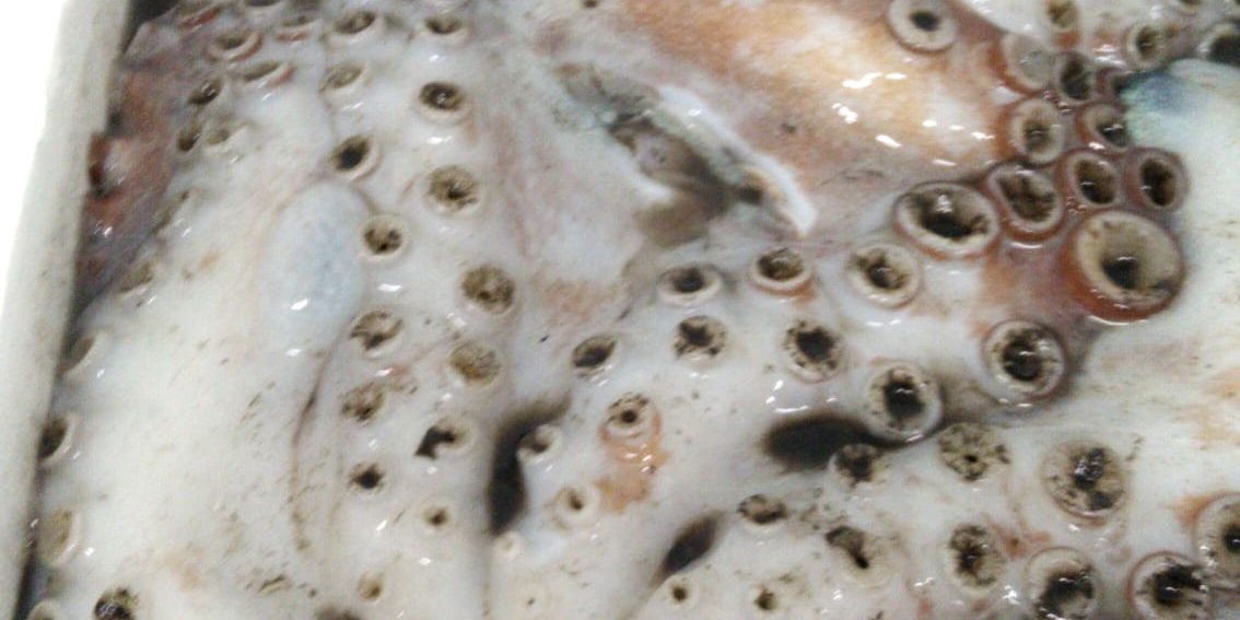 64e60923-d6ed-47dc-a243-4e57bf775fbf