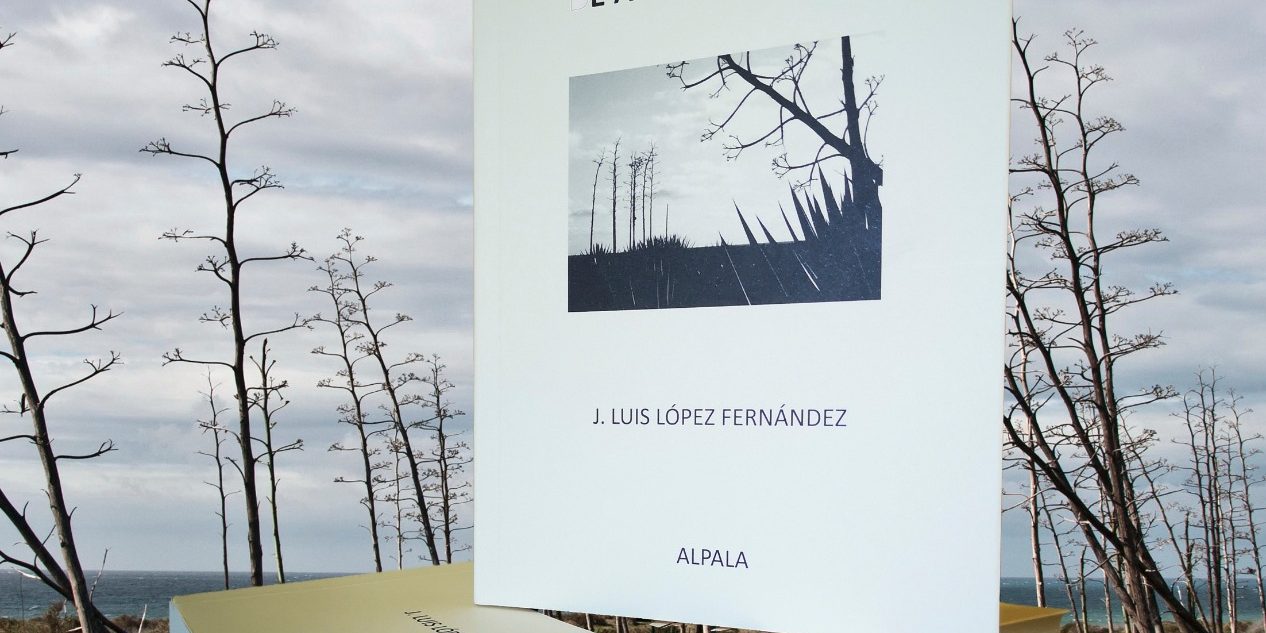 6e2b56d2-67cf-44aa-a880-fe6de2699245