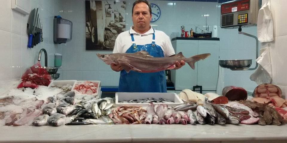 12106769 1641927629392048 2514169004787945912 n