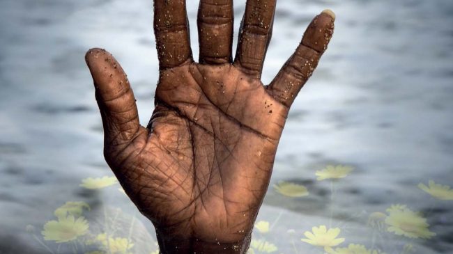 150382105 1295422384162729 5986178235231213911 o