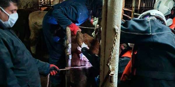 020b6be17efc2131c8c7f1747cada1294ac2fc75-cartagena4600w