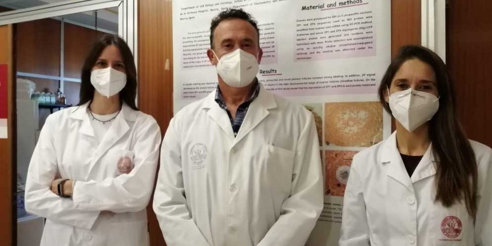 grupo-gametogenesis-umy (1)