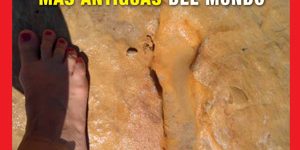 portada-nc-abril-2021