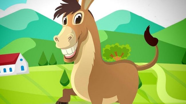 960306 burrito sabanero