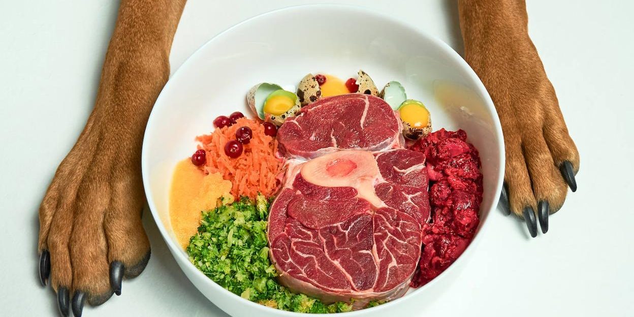 carne-cruda-perro-kpfD-U120779372723zjH-1248×770@RC