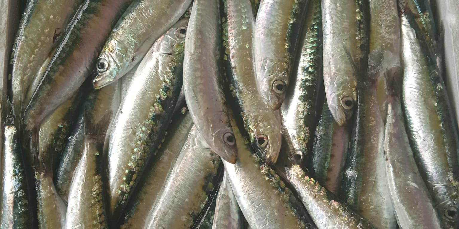 0785c76b-18d7-4b24-8f77-bf32365a94cb