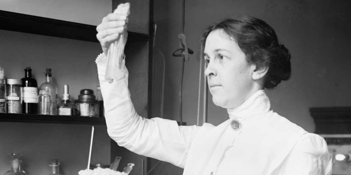 OpenMind Leche 1 alice catherine evans