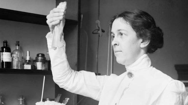 alice catherine evans