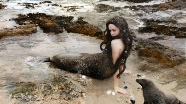 la historia de Selkie