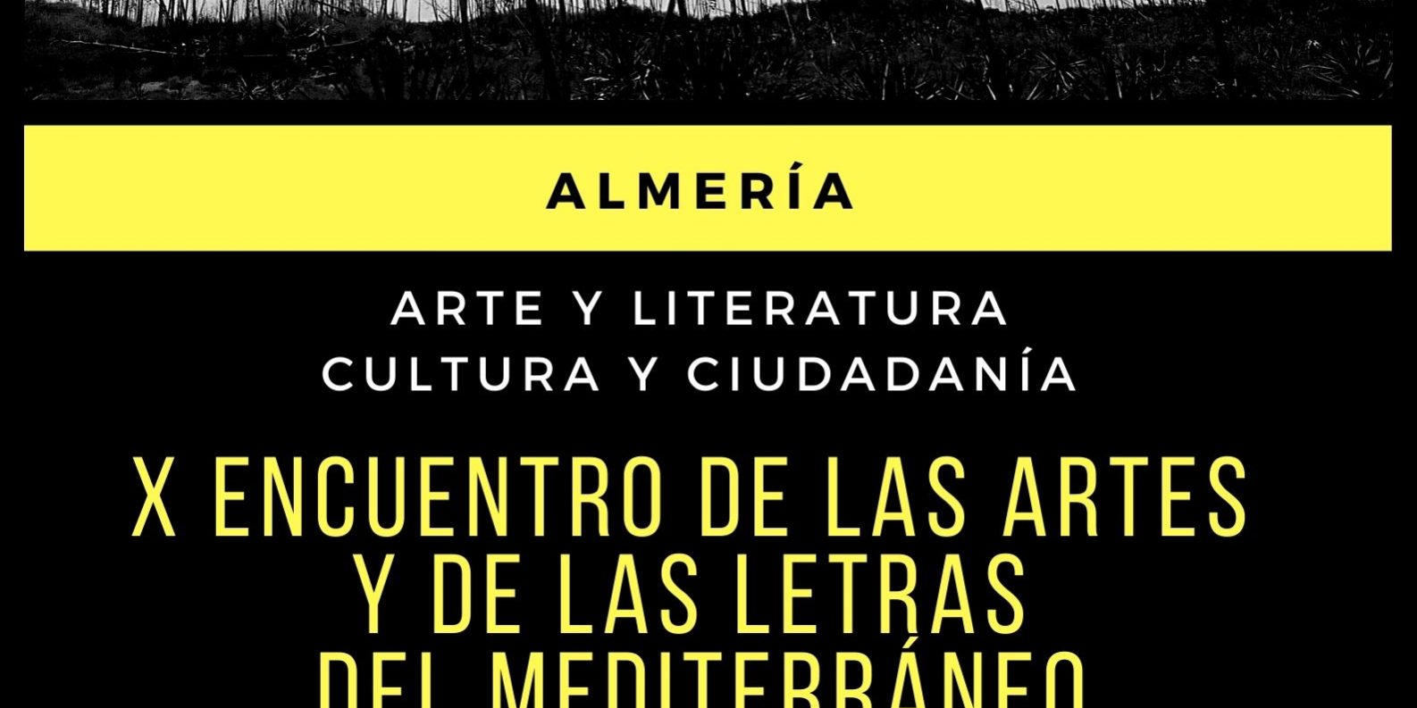 X ENCUENTRO DEL MEDITERRÁNEO