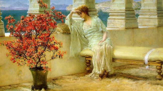 108143254 2944517035656847 3420904159298524238 n