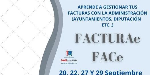 241024115 596737518375095 7375838688893847531 n