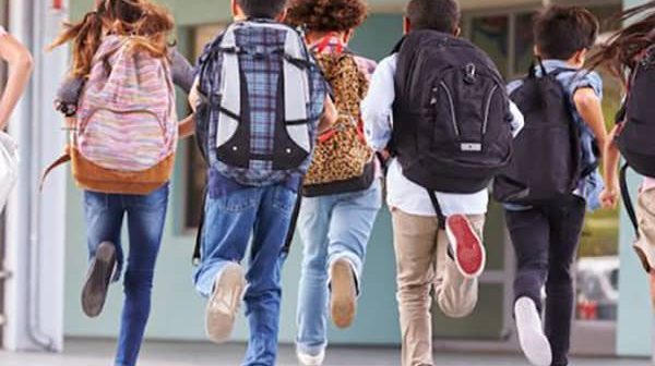 adaptacio escolar Adaptación Escolar