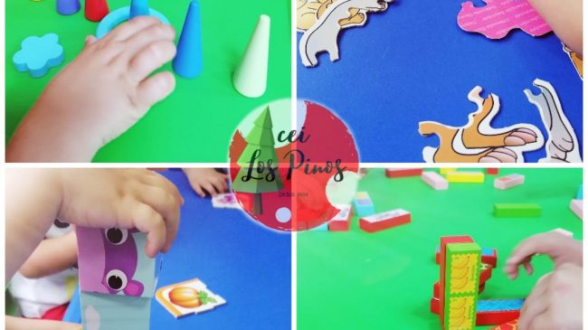 197830549 5807658565943382 196975964387775050 n