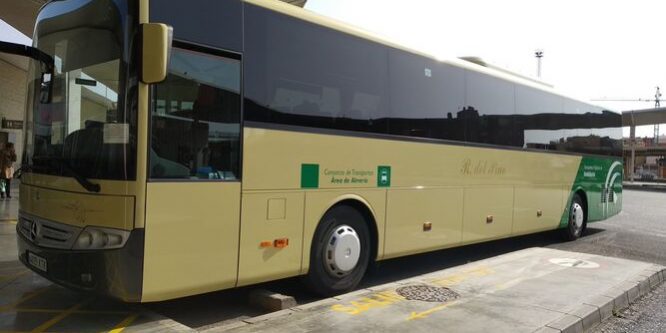 241523686 1206142859881738 8571366603478345277 n