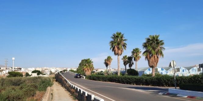 NOTICIA CERCANA Aprobada-Junta-Gobierno-Huercal-Viator 1614749087 144501656 667x375 Noticia Cercana ampliación puente de viator