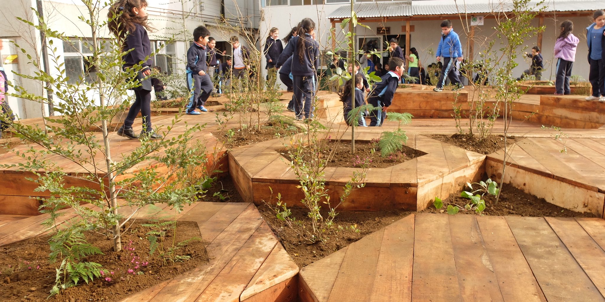 patio vivo