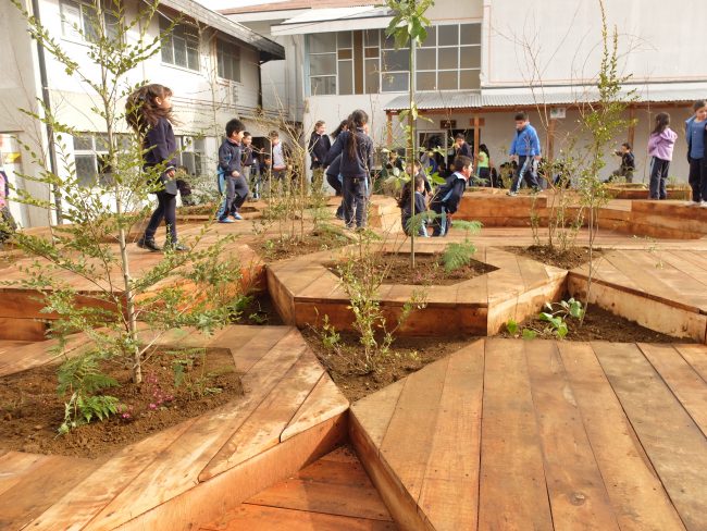 patio vivo