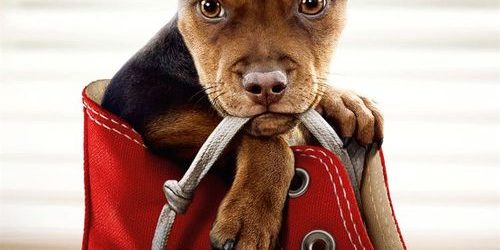 uno mas de la familia