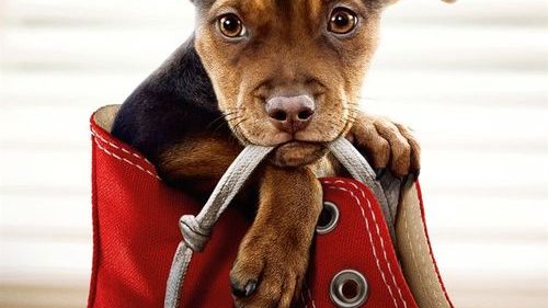 uno mas de la familia