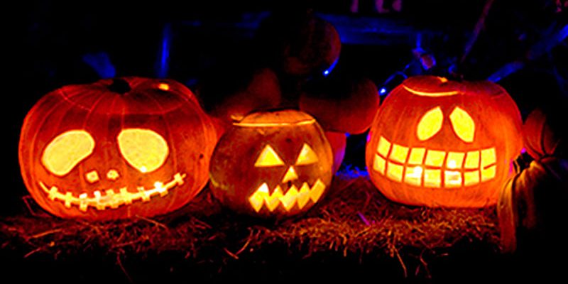 My Pumpkin Display Creceindo en Tribu -Halloween