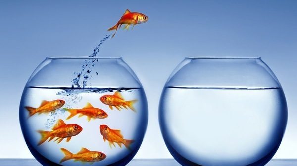 salir de zona de confort crear para crecer