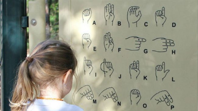 Lengua de signos asignatura optativa