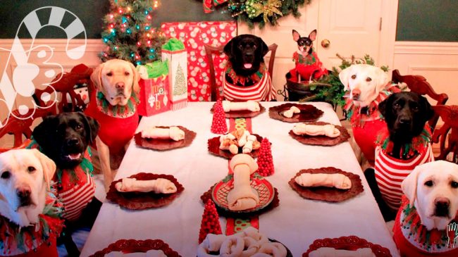 Nuestras mascotas en Navidad