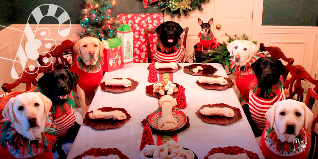 cena-navidena-especial-para-tu-perro Nuestras mascotas en Navidad