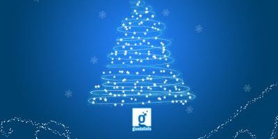 Balance Guadalinfo Huércal 2021