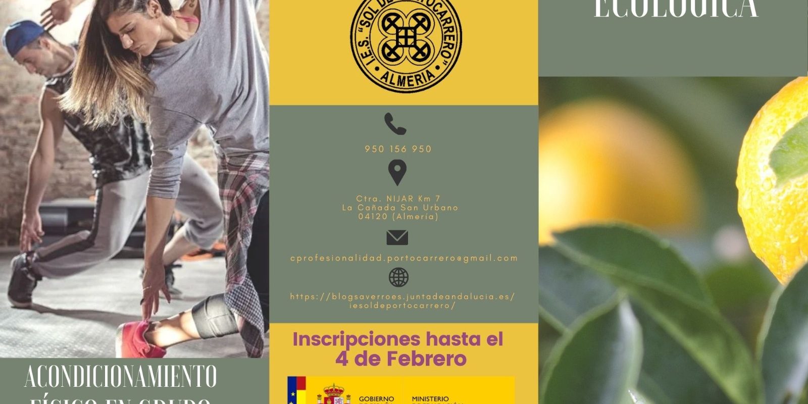 1f928ec9-a00a-4d8d-961d-0356d6e65cf4 Certificados Profesionalidad .