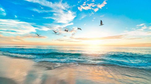 Mente Sana y Serenidad