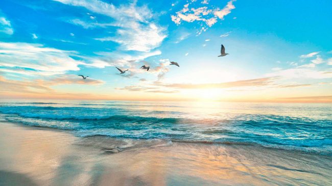 Mente Sana y Serenidad