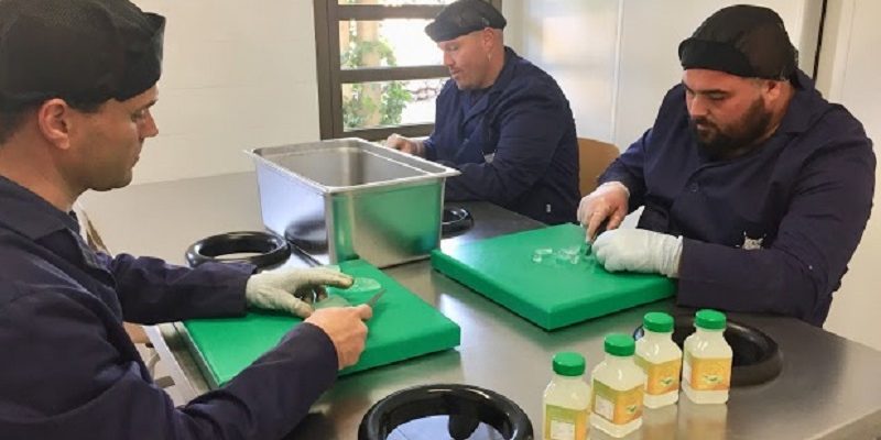 aloe vera aspapros Aloe vera Aspapros