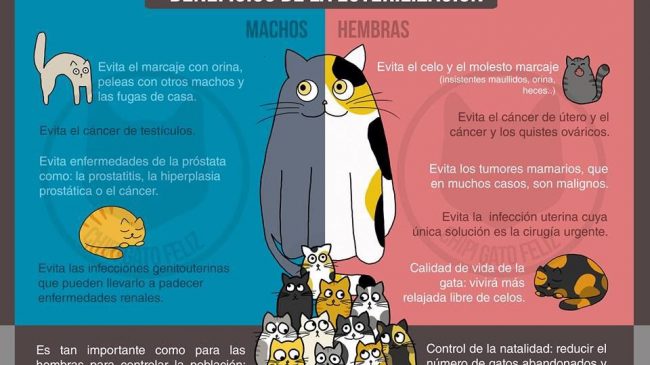 método CER Huércal